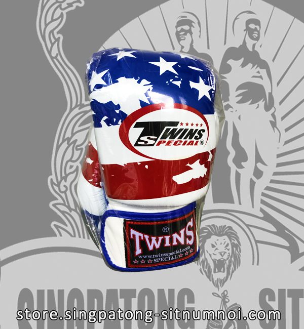 Twins Fancy Boxing Gloves USA Flag