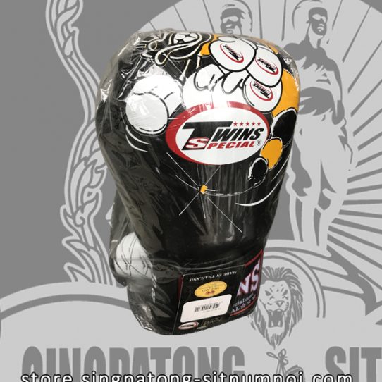 Twins Fancy Boxing Gloves “BEE STING”