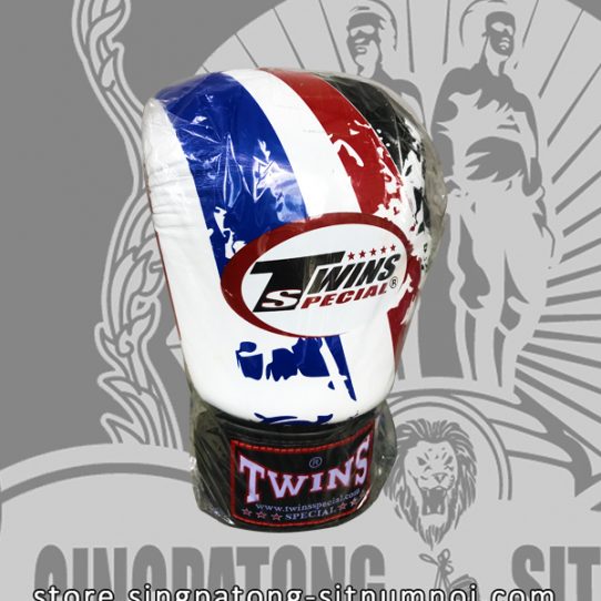 Twins Fancy Boxing Gloves THAI FLAG