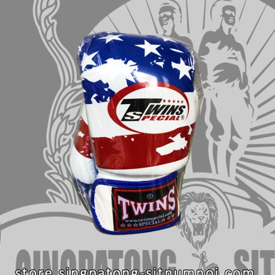 Twins Fancy Boxing Gloves USA Flag
