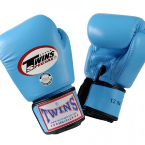 Twins Fancy Boxing Gloves DRAGON MASTER - Singpatong Sitnumnoi Store
