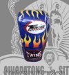 Twins Fancy Boxing Gloves BLUE FIRE FLAME