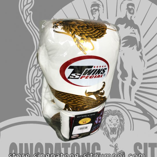 Twins Fancy Boxing Gloves “DRAGON MASTER” White