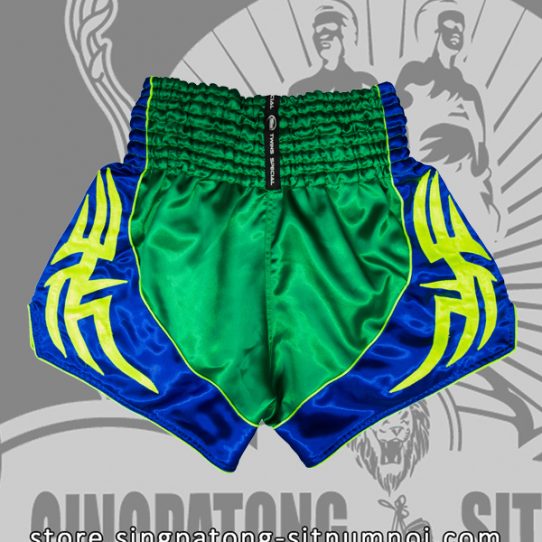 Twins Muay Thai Shorts CLASSIC BLUE GREEN back