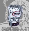 Twins Special Fancy Boxing Gloves – White-Silver Skull and Strap